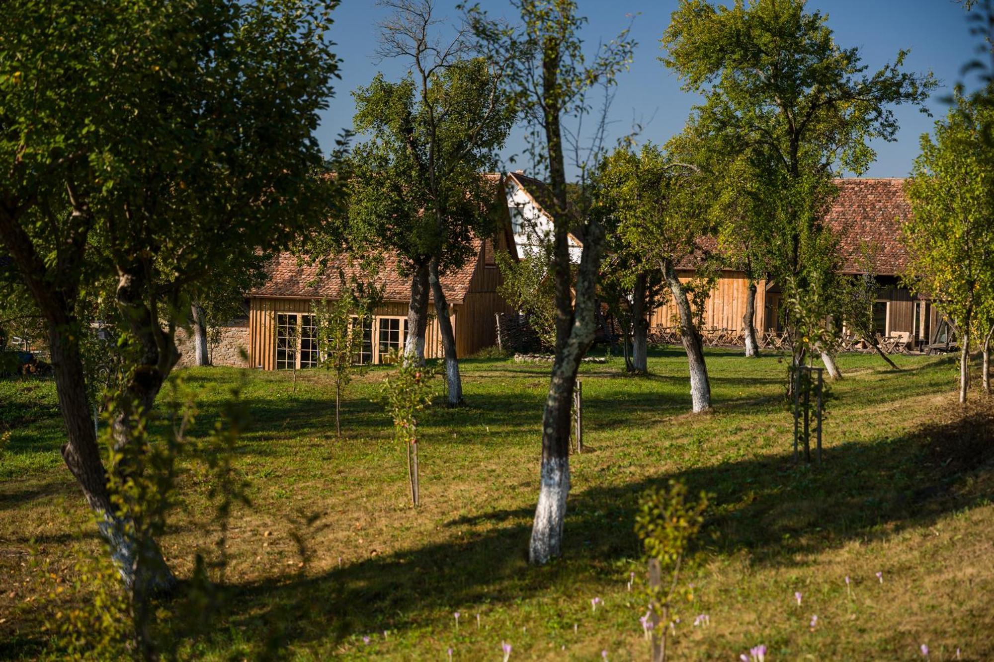 Mesendorf Gasthaus 外观 照片